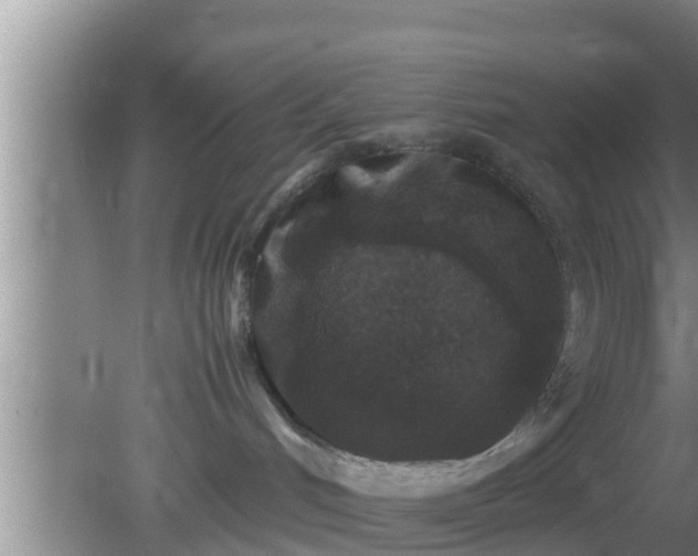 X0000081610048200701221213