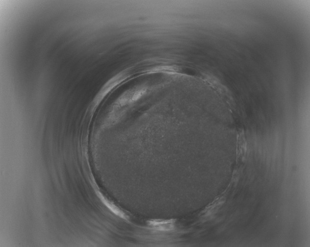 X0000081610051200701221213