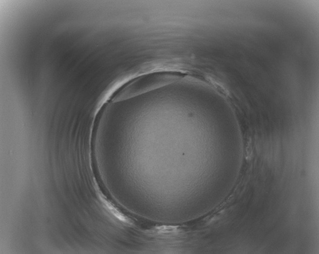 X0000081610052200701221213