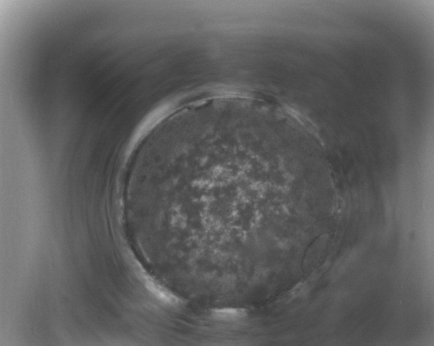 X0000081610053200701221213