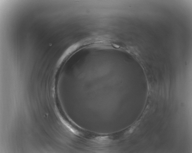 X0000081610054200701221213