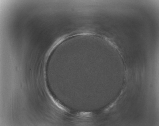 X0000081610055200701221213