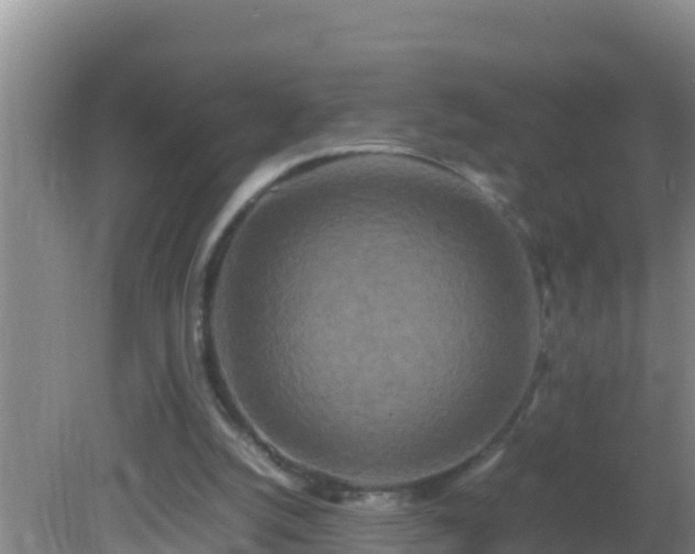 X0000081610056200701221213