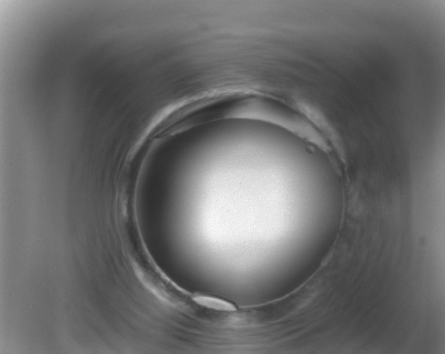 X0000081610060200701221213