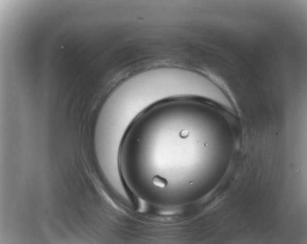 X0000081610061200701221213