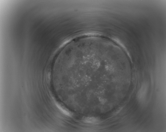 X0000081610063200701221213