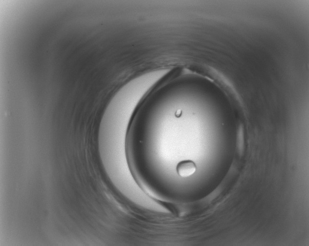 X0000081610065200701221213