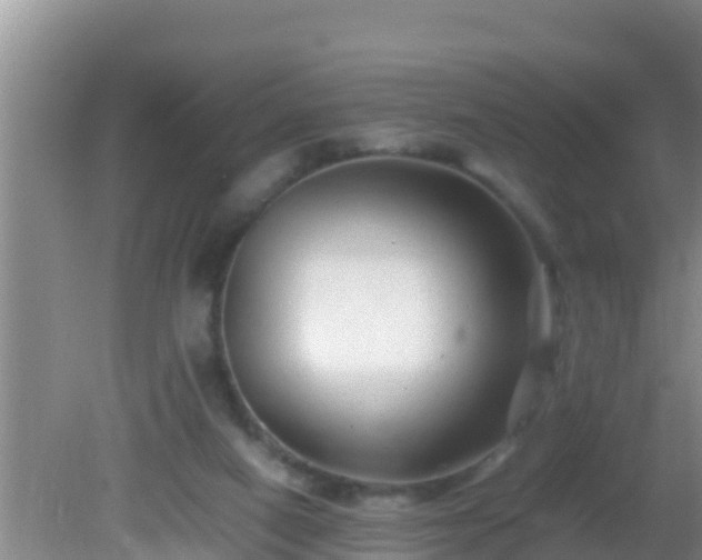 X0000081610066200701221213