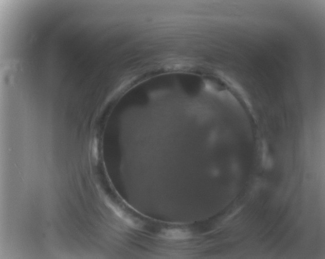 X0000081610067200701221213