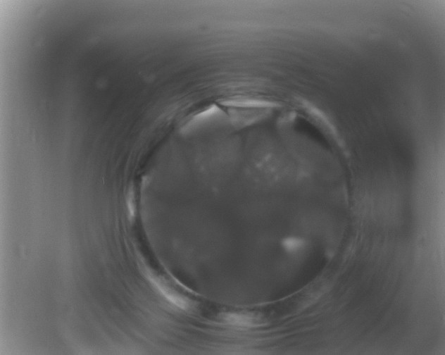 X0000081610069200701221213