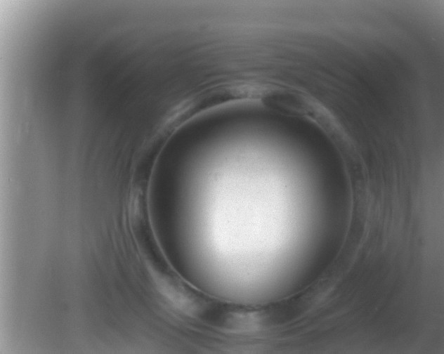 X0000081610071200701221213