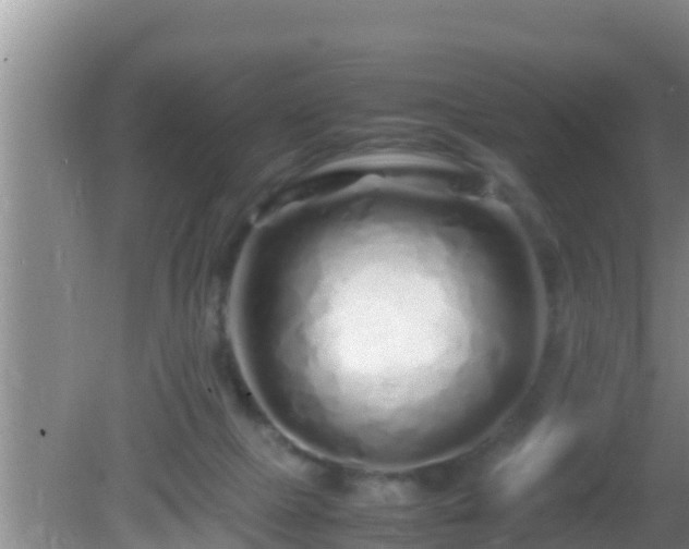 X0000081610073200701221213