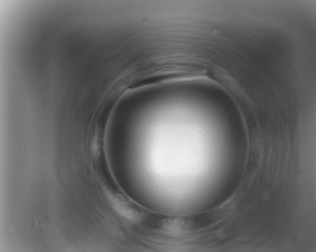 X0000081610074200701221213