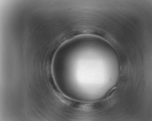 X0000081610078200701221213