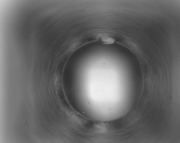 X0000081610079200701221213