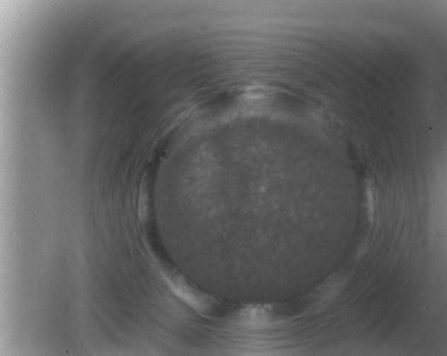 X0000081610080200701221213