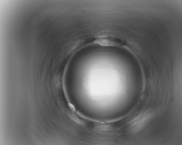 X0000081610081200701221213