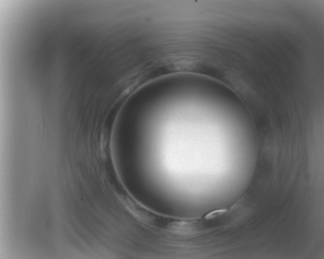 X0000081610082200701221213