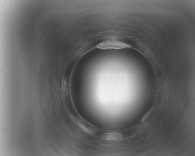 X0000081610087200701221213