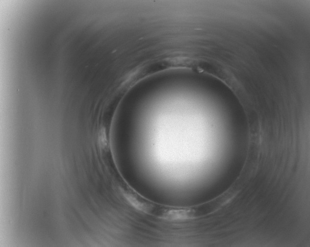 X0000081610089200701221213