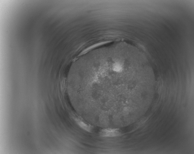 X0000081610093200701221213