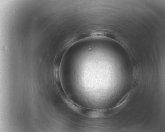 X0000081610094200701221213