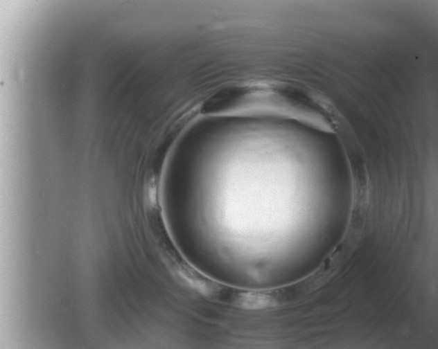 X0000081610095200701221213