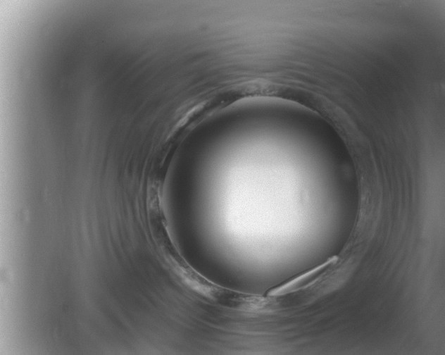 X0000081610096200701221213