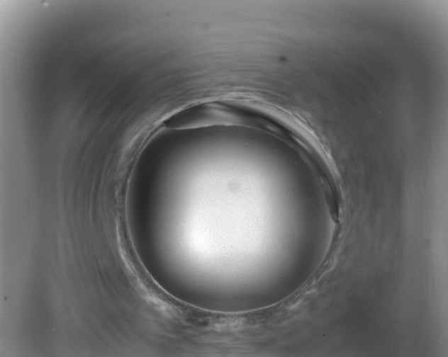 X0000081610097200701221212