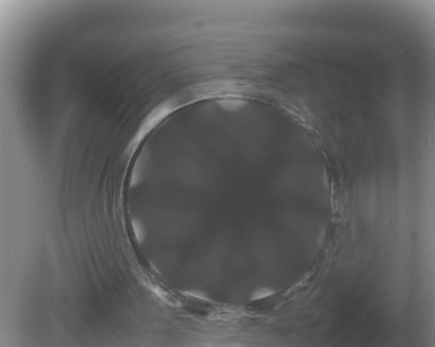 X0000081610099200701221212