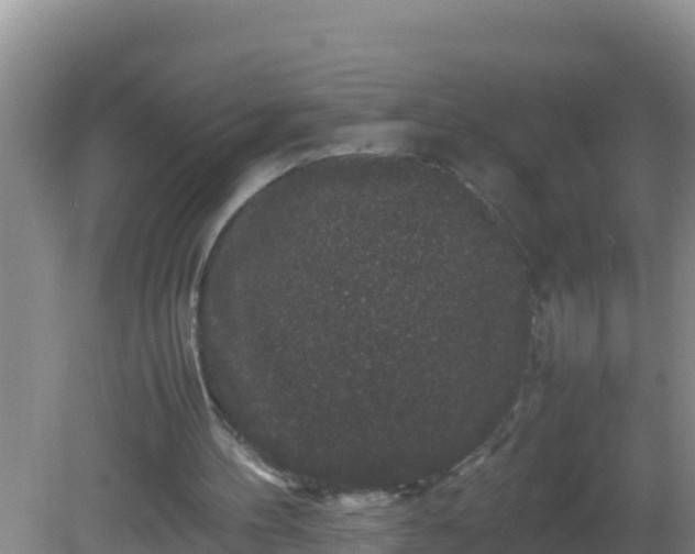 X0000081610100200701221212