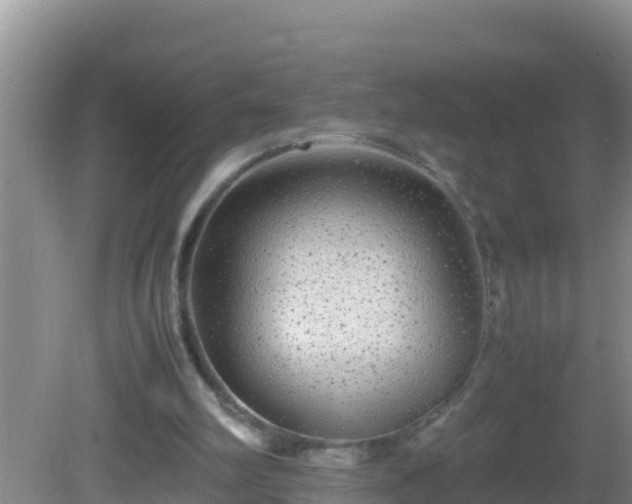 X0000081610102200701221212