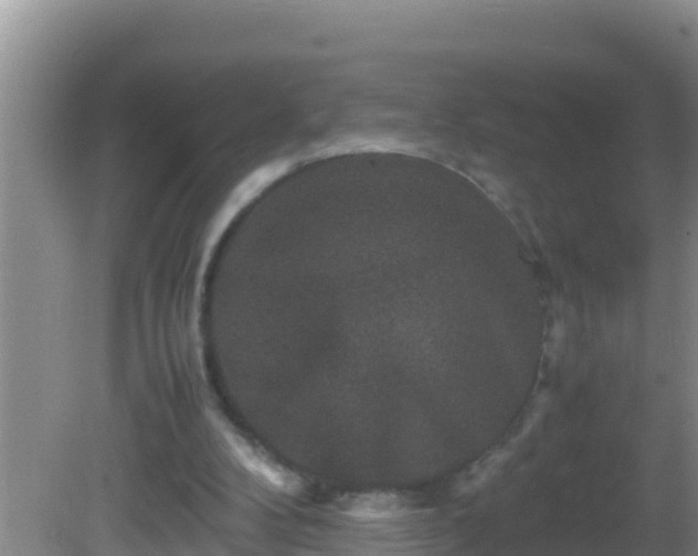 X0000081610104200701221212