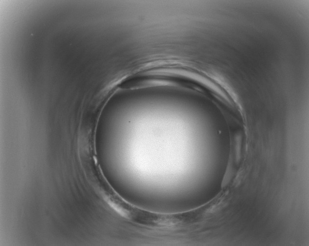 X0000081610105200701221212