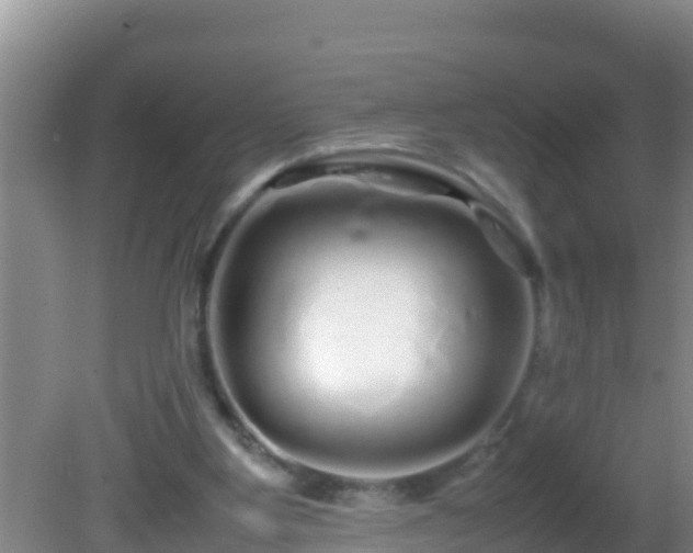 X0000081610107200701221212