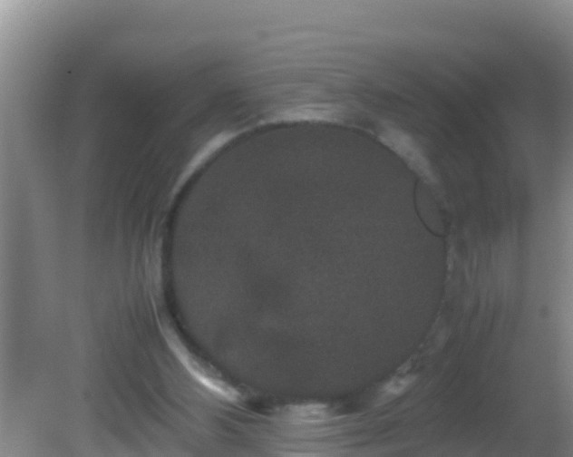 X0000081610108200701221212