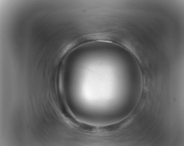 X0000081610109200701221212