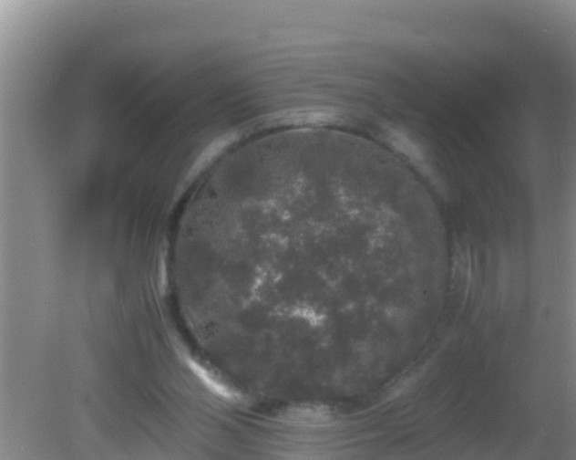 X0000081610110200701221212