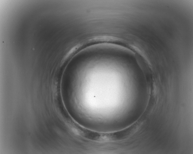 X0000081610111200701221212