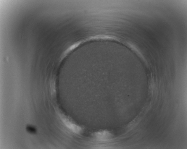 X0000081610112200701221212