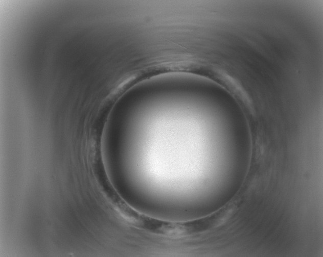 X0000081610113200701221212