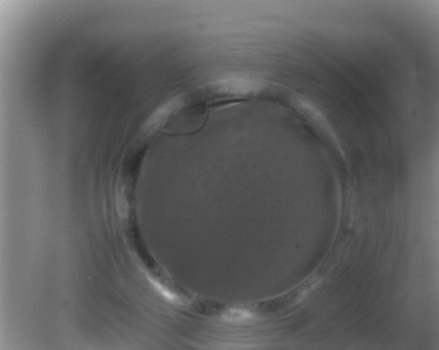 X0000081610114200701221212