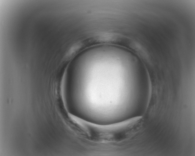 X0000081610115200701221212