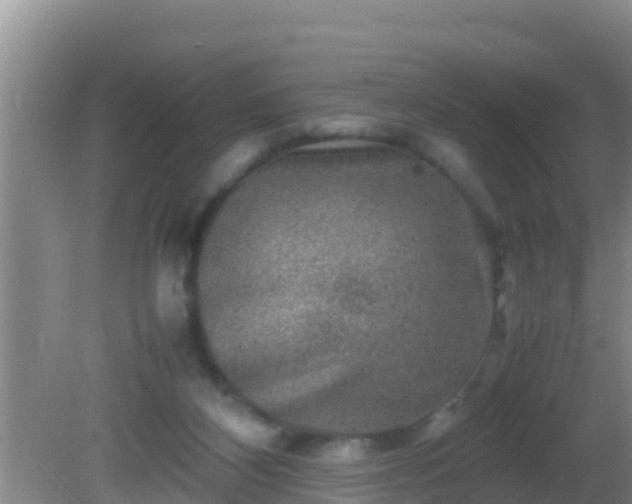 X0000081610116200701221212