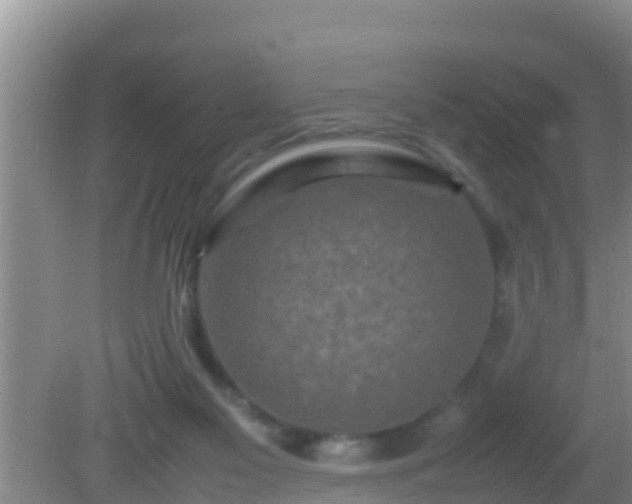 X0000081610117200701221212