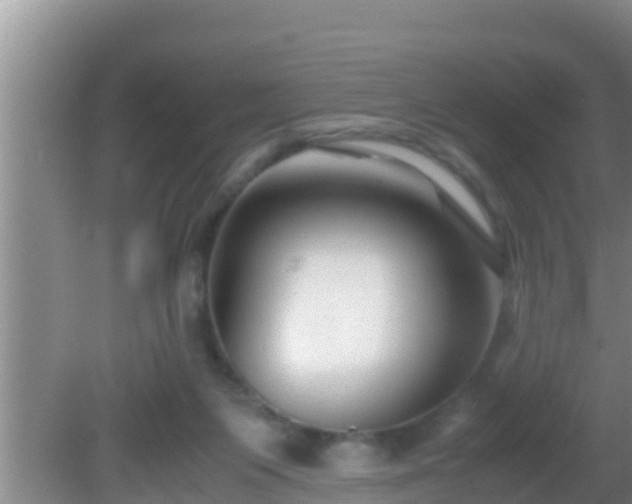 X0000081610119200701221212