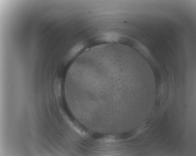 X0000081610120200701221212