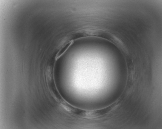 X0000081610121200701221212