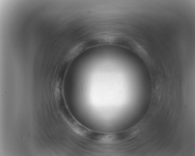 X0000081610122200701221212