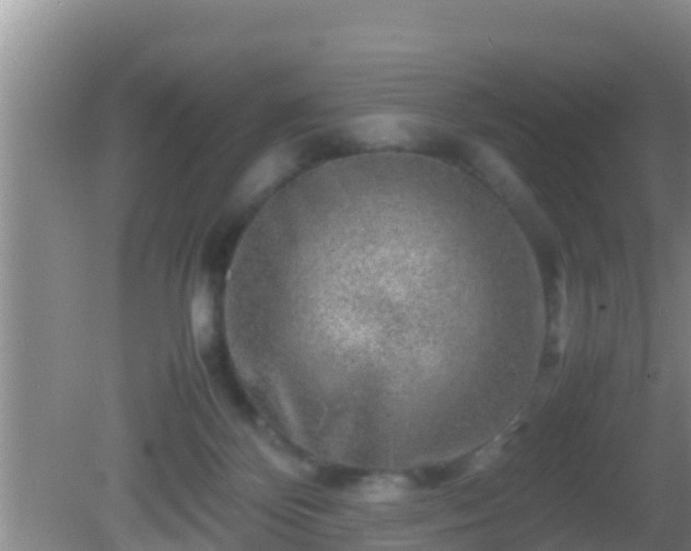 X0000081610124200701221212